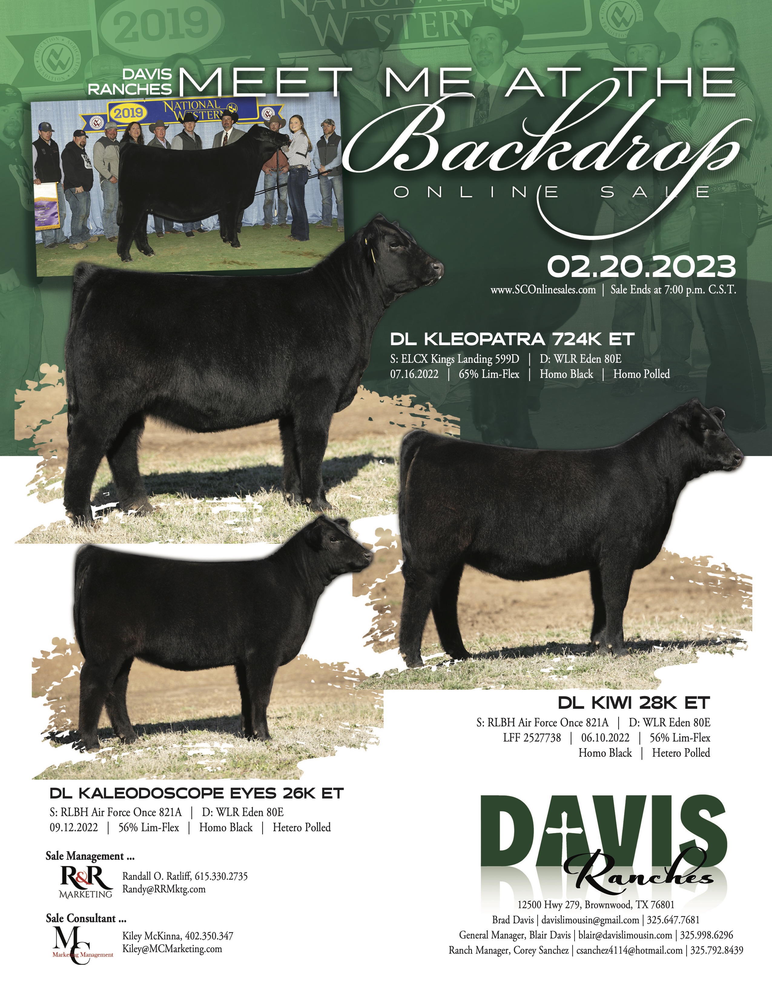 Davis Ranches Online Show Heifer Sale