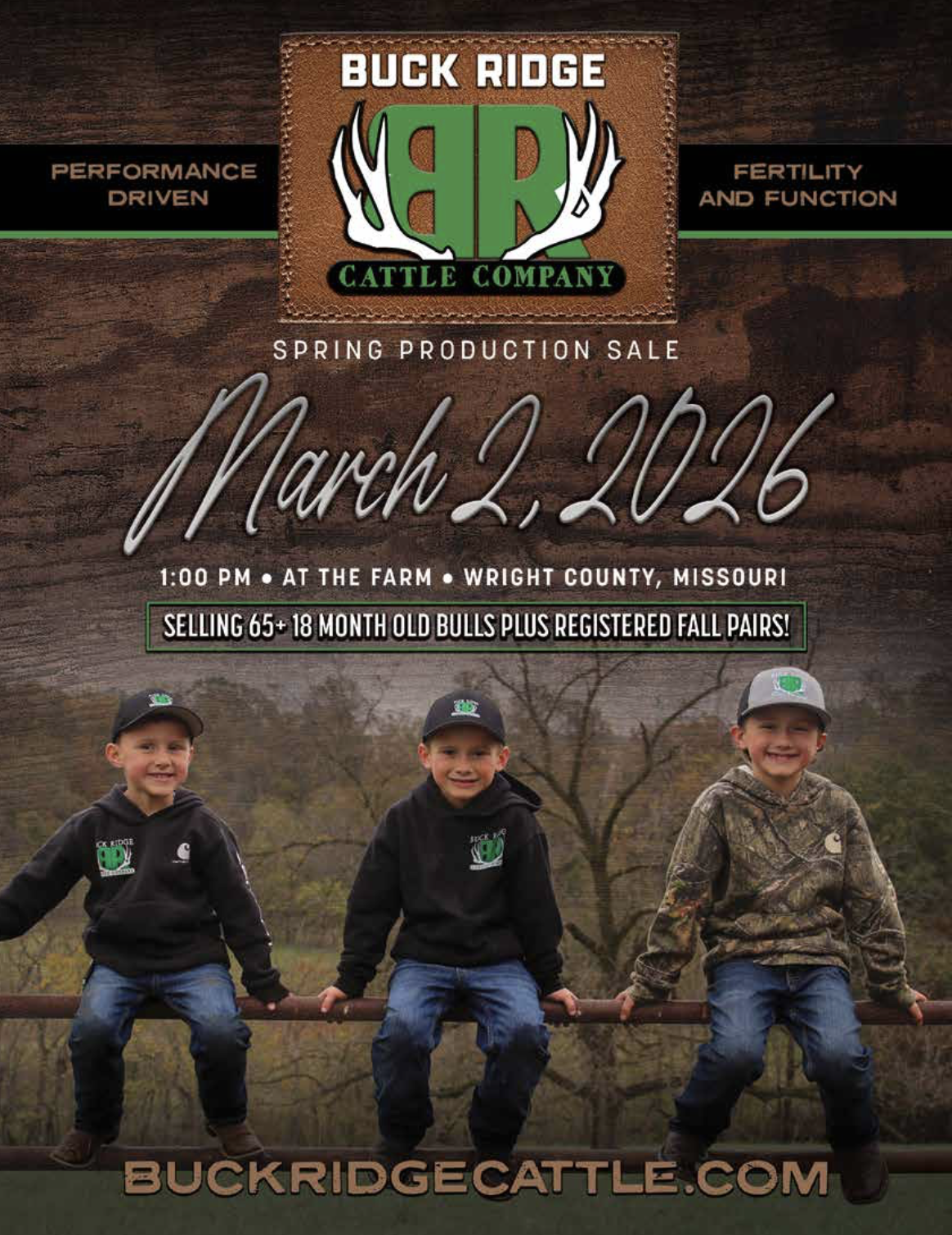 Buck Ridge Cattle Co Bull and Female Sale